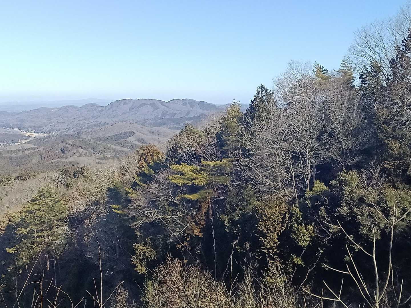 鶏足山が見えますね！