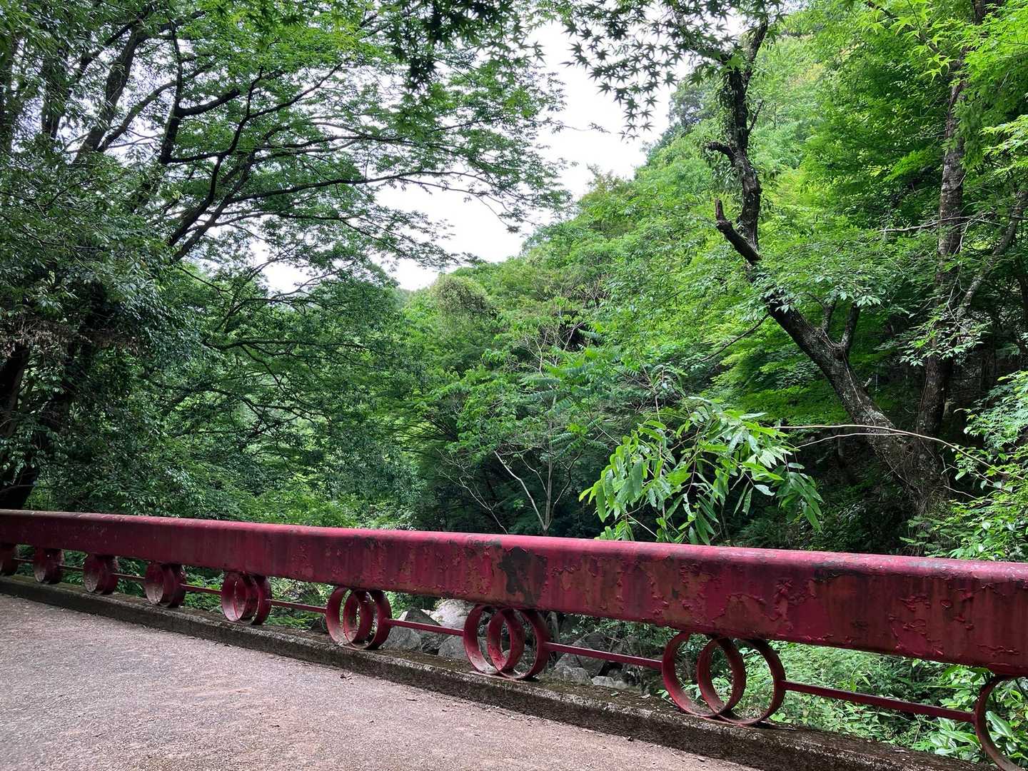 この橋の欄干も､可愛い❤️