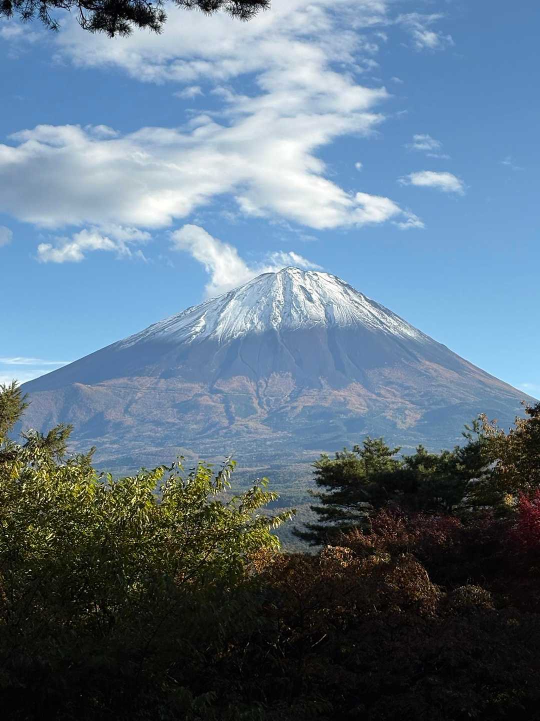 美しい
