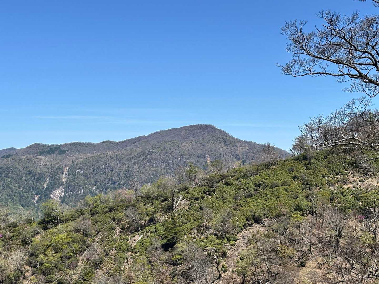 大崩山山頂部分