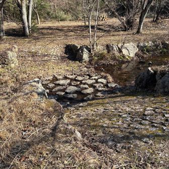 遠くから見たら橋が見えなくて不安になりましたがちゃんと渡れました😊