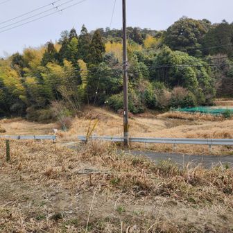 さっきの道路まで戻ってここからしばらくピストン