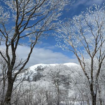 武奈ヶ岳の稜線が見えた