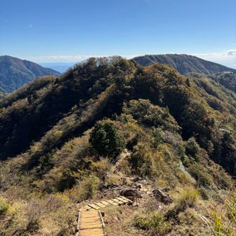 雰囲気が全く伝わらない崩落地を
上から📷