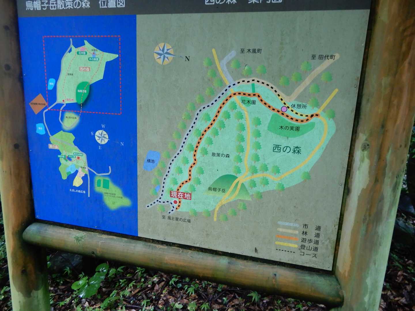 烏帽子岳散策の森を周回し駐車場に向かいます😊