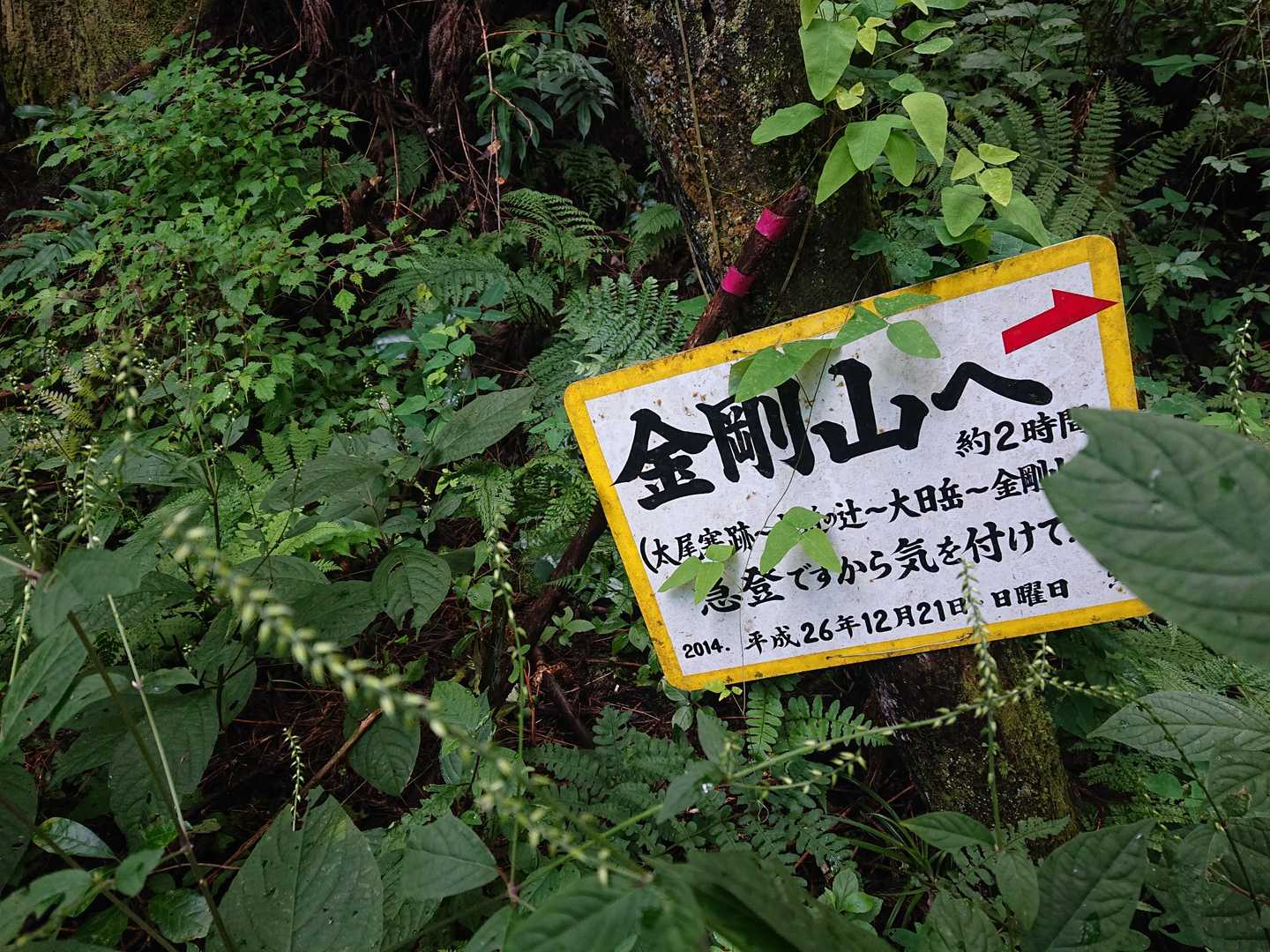 とうちゃく😊