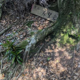 英山展望岩