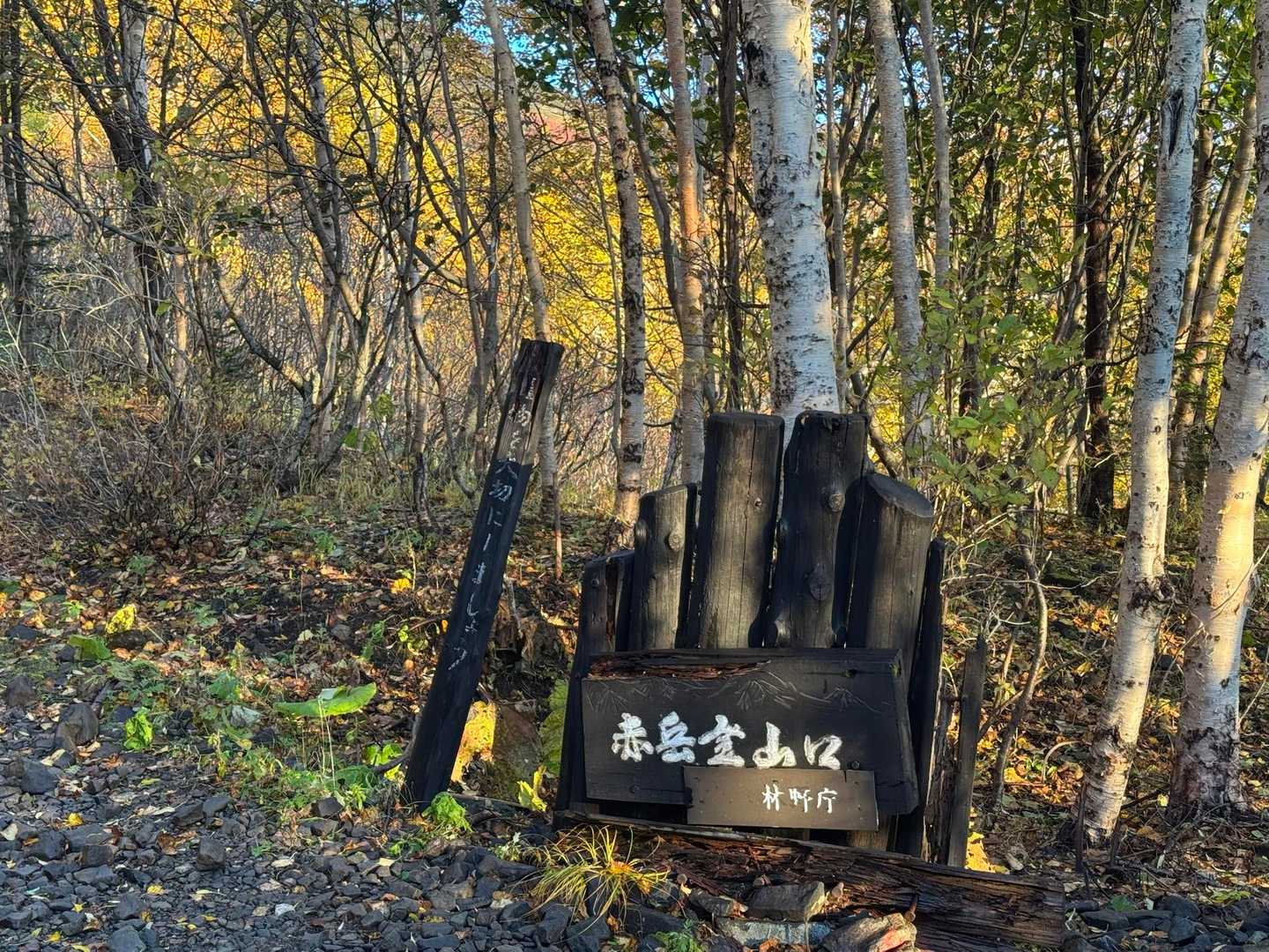 お初　紅葉🍁　銀泉台🎵