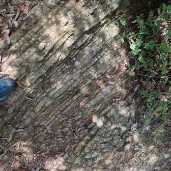 道の岩が、地層の模様になってて。けっこう見応えありました。