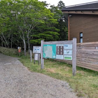 駐車場に戻って来ました