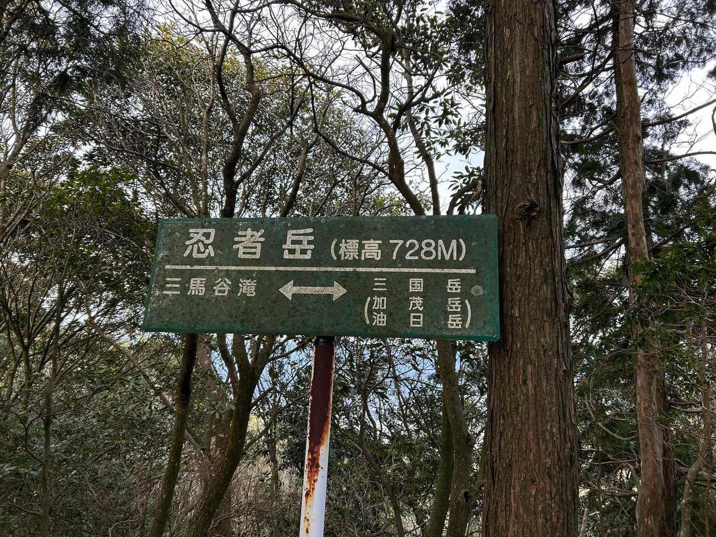 忍者やぁ……🥷
