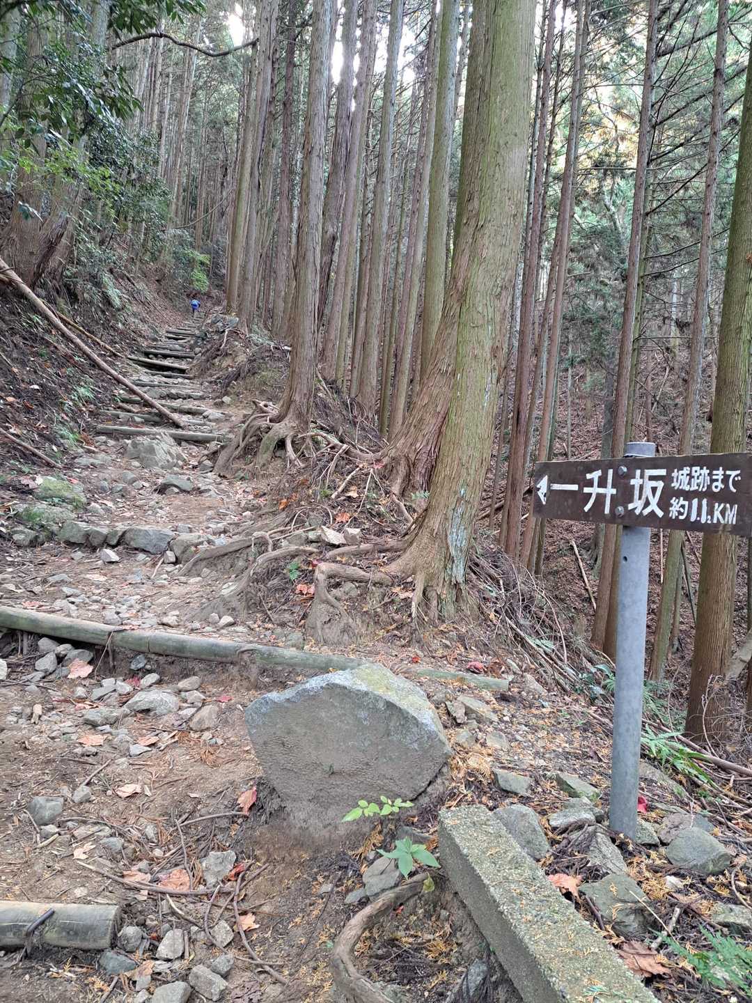 今日はヨガ友さんと一緒です　脚力ある～