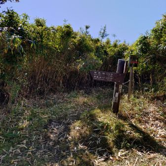 湖尻に下りる道との分岐