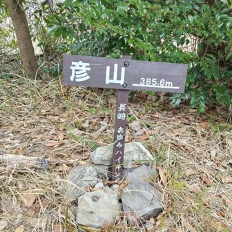 少し離れた場所の彦山
皆さんご存知と思いますが、山頂が二つあります😃