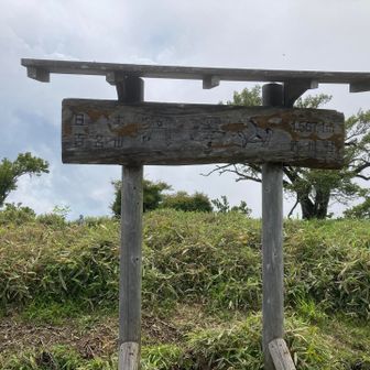 ついた