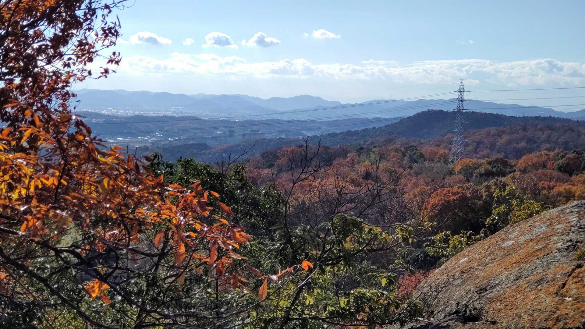 日差山-江田山-鷹ノ巣城跡-仕手倉山 周回コースの写真