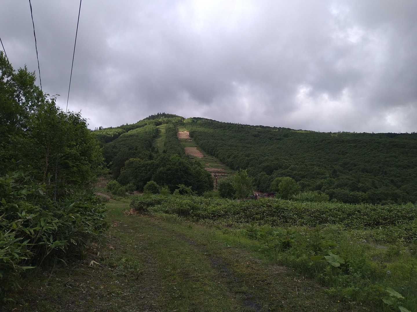 左側のｺｰｽが登山道
