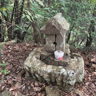 祠