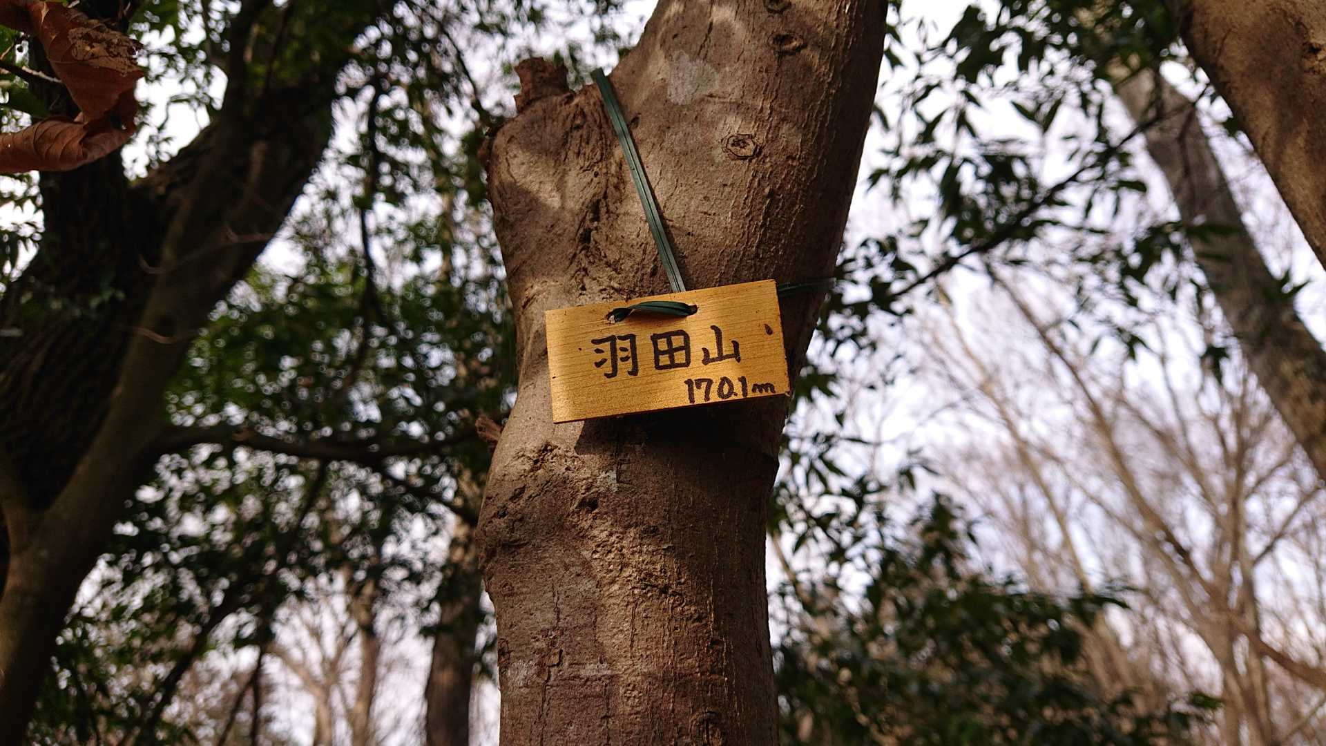 安心の海さん名板👍️