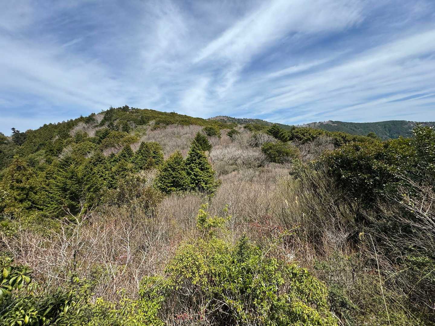 赤荒峠-国見山 往復コースの写真