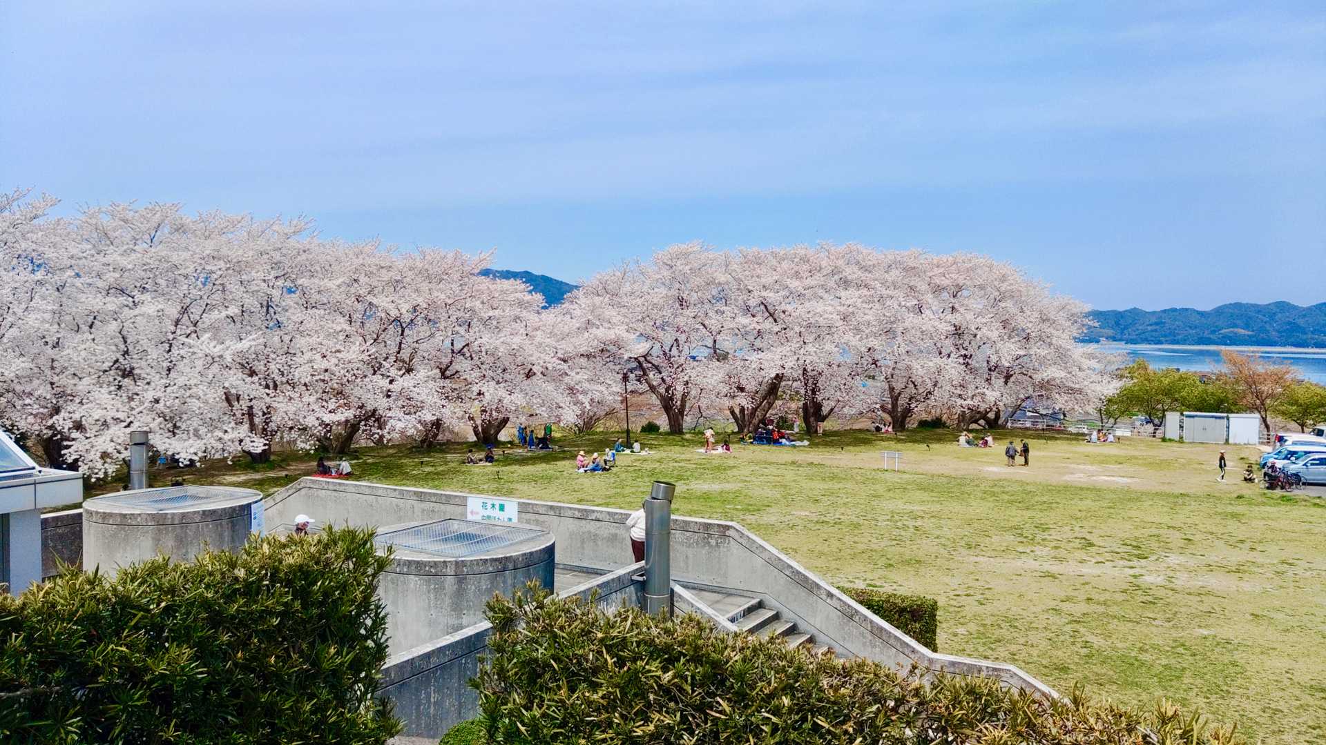 山頂からの公園