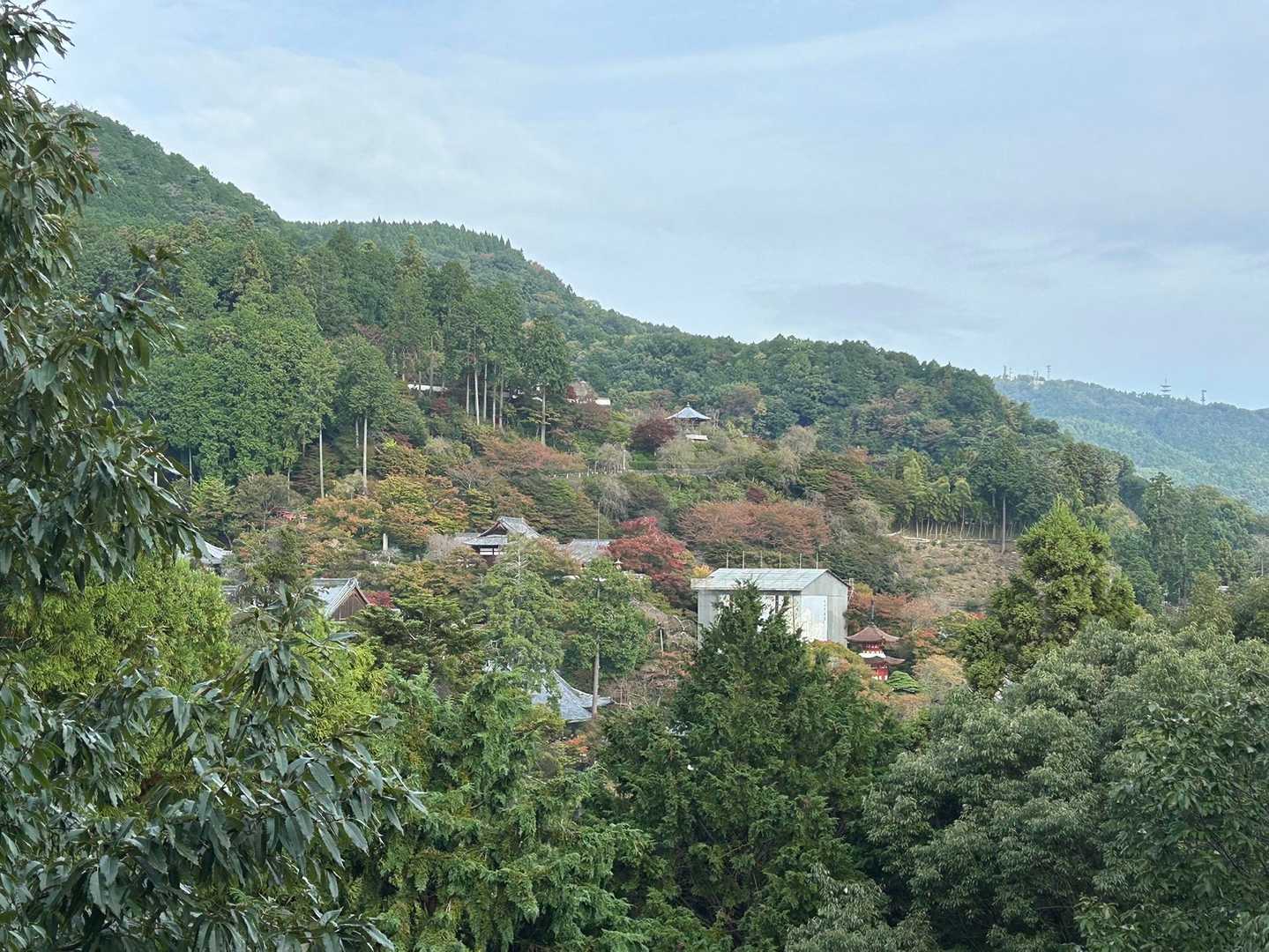 善峰展望所　未だ青空も見えてました
お寺の周りは紅葉が進んでます
