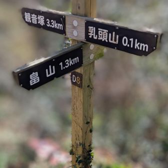 👈観音塚へ🚶‍♂️