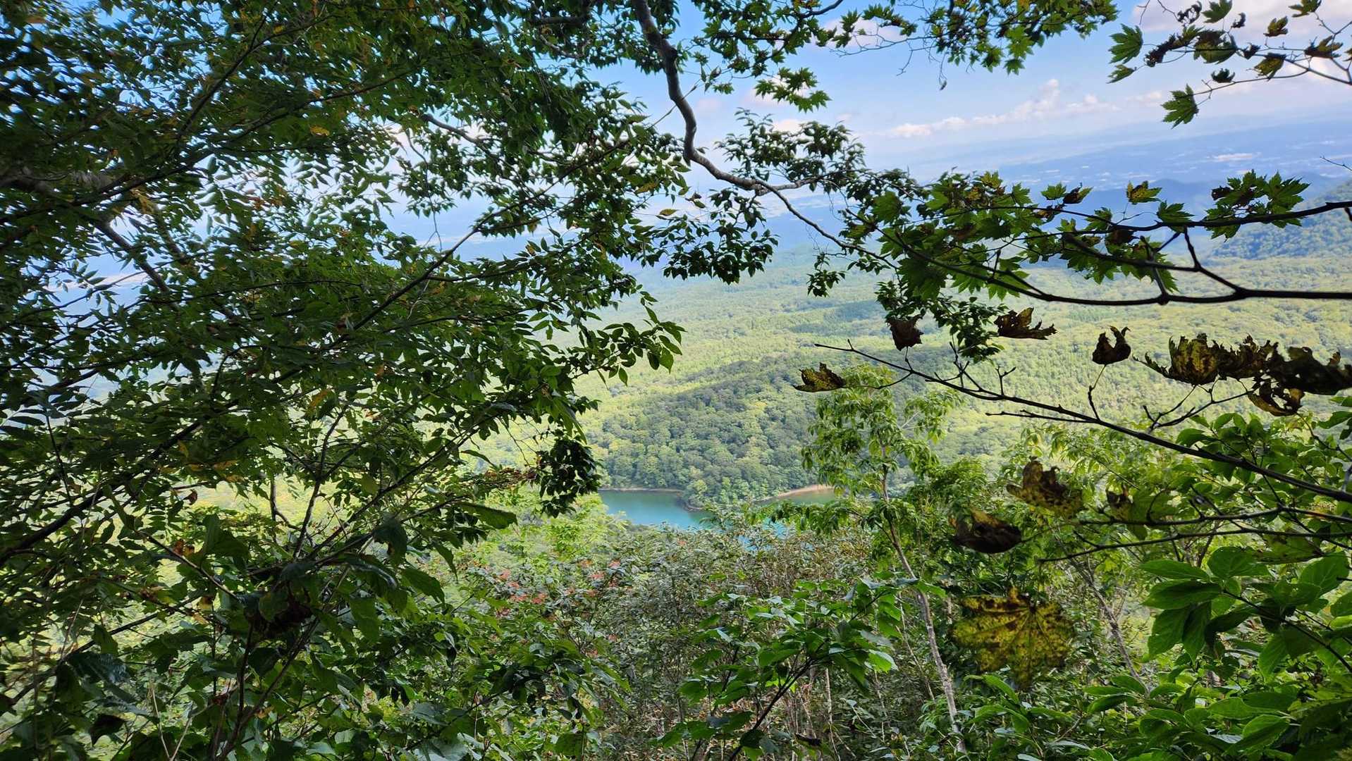 北泉ヶ岳-お分れ峠-泉ヶ岳 縦走コースの写真