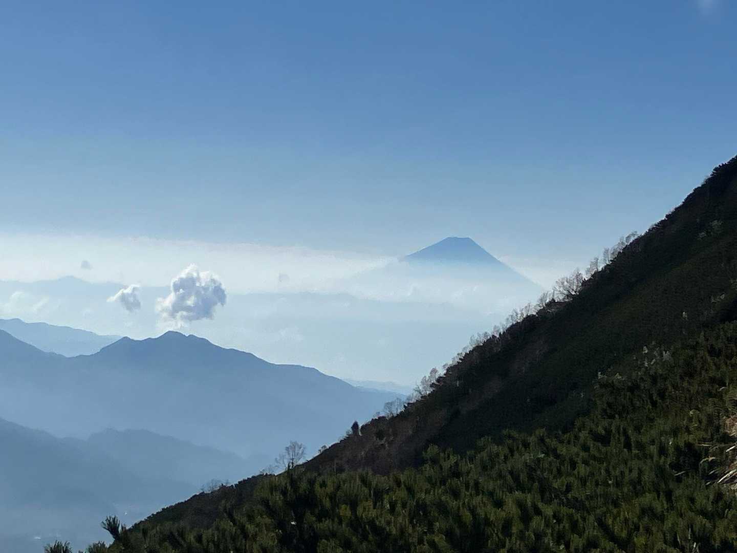 富士山も見えました。