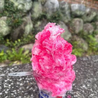 カキ氷売ってた！

でかい！