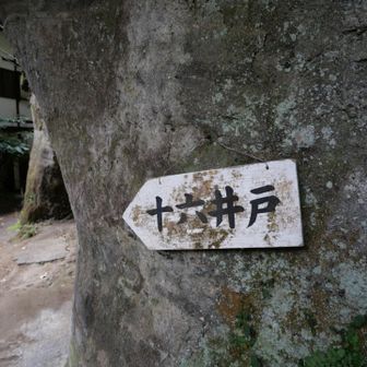 16井戸
16穴があった