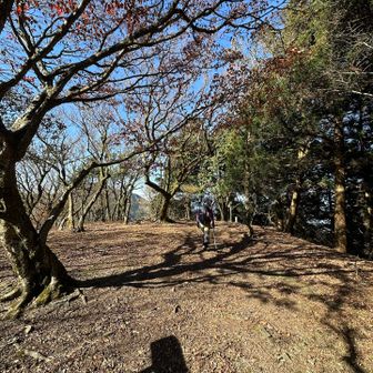 城址なので広い…😄
