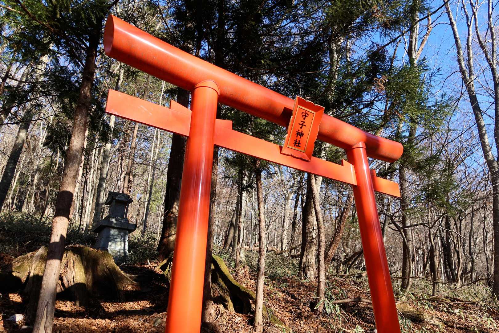 神様、ご無沙汰してま～す🙇