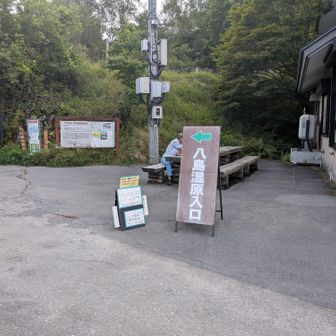 帰って来ました。