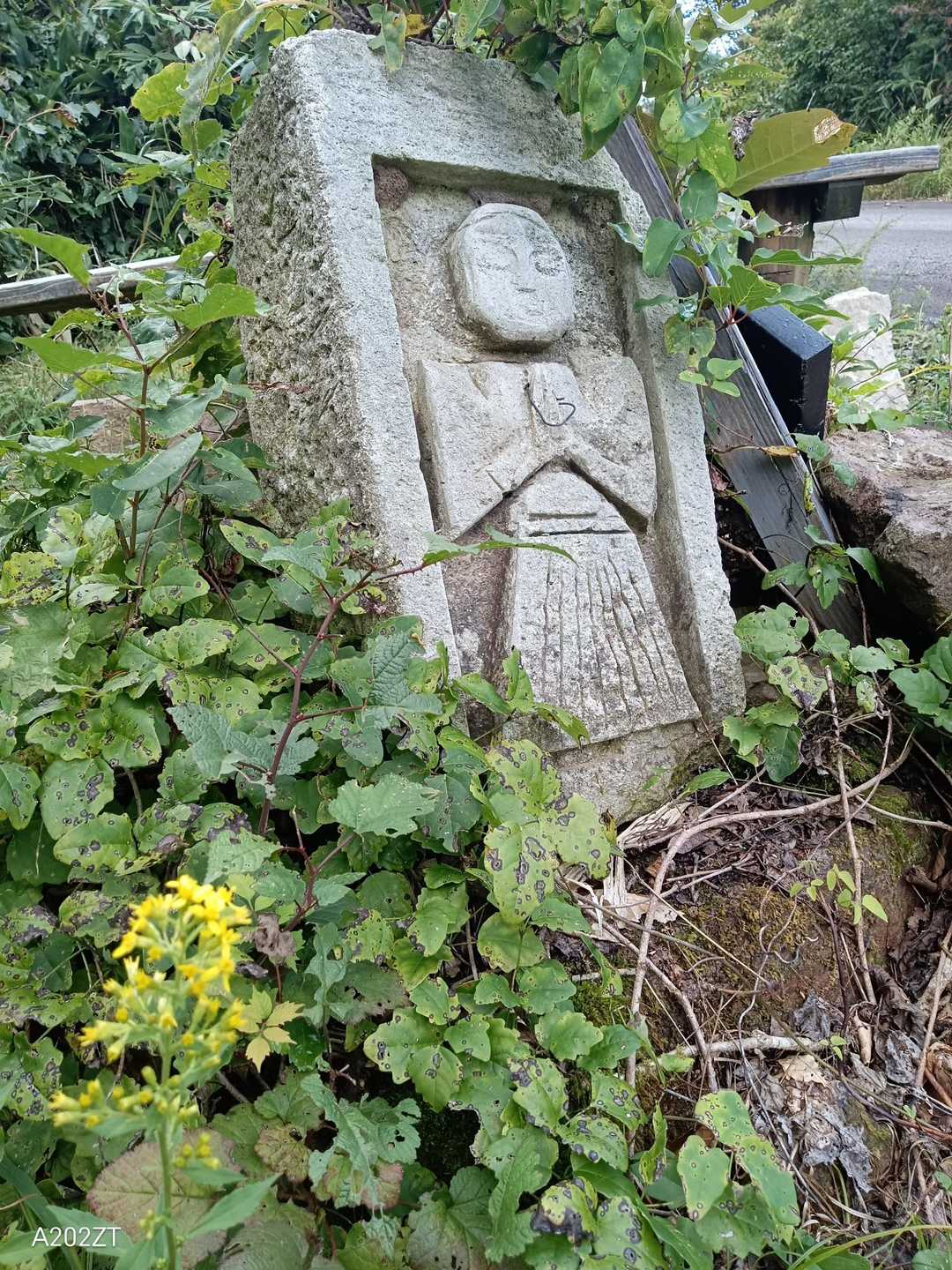 癒やし🙏