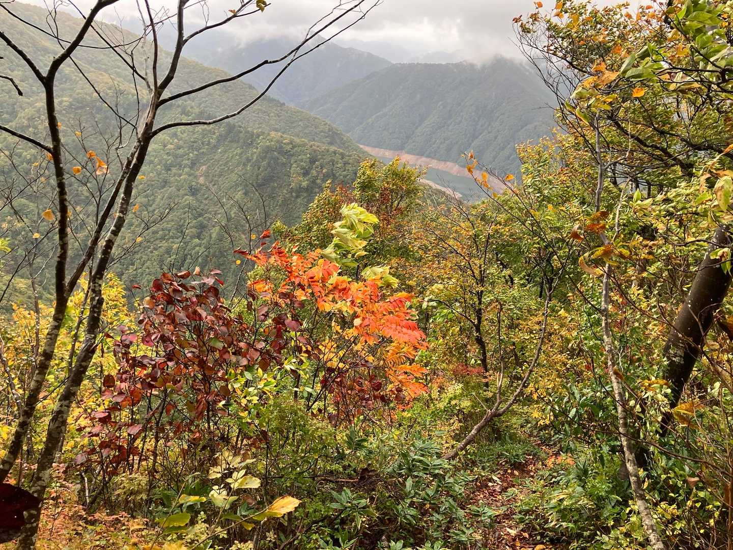 振り返って桂湖と紅葉。