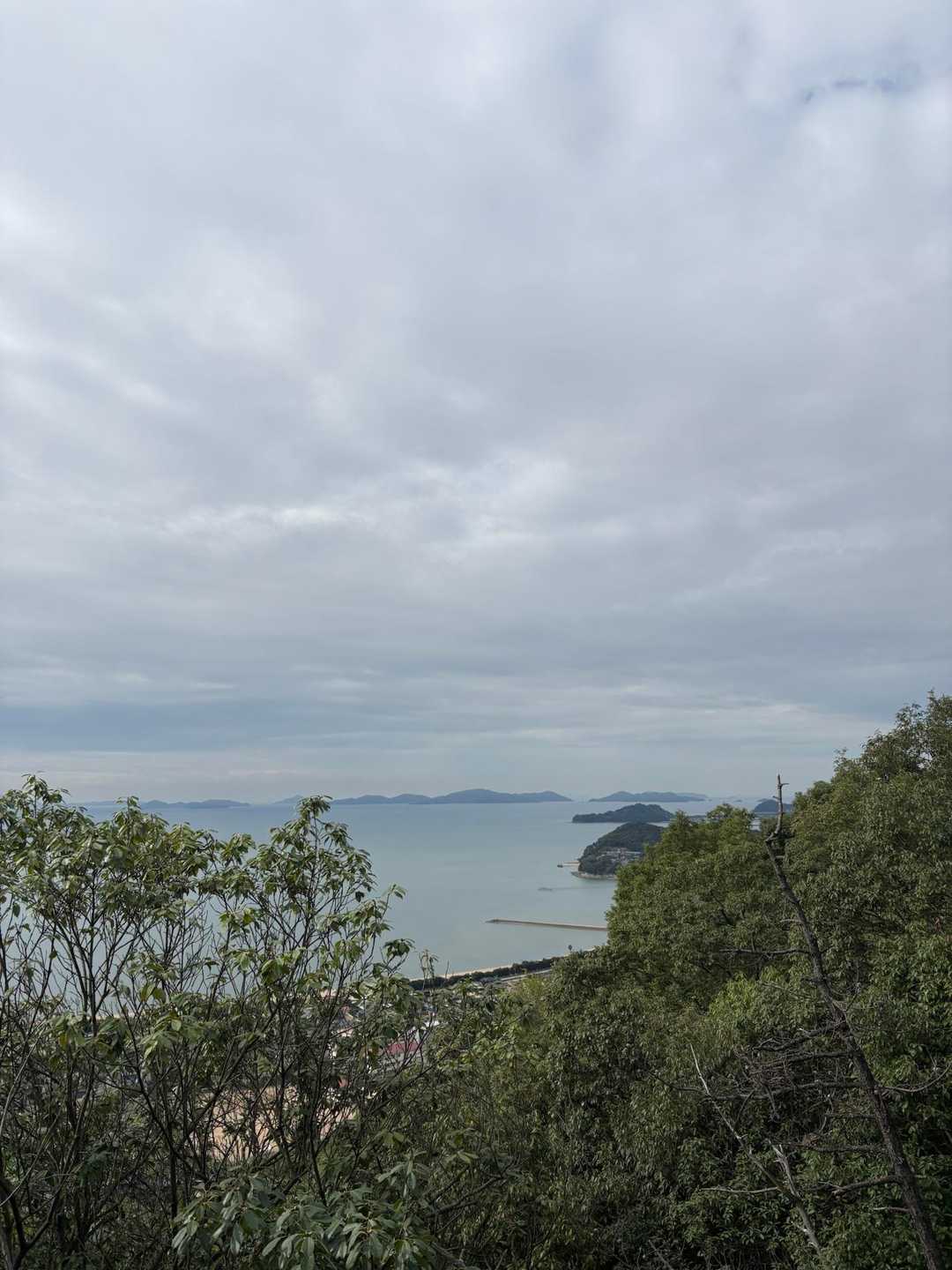 やっと景色が見える