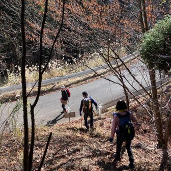舗装道路に出てきました🚶…お疲れ様でした🙇