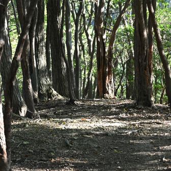 心地いい風が吹いてきます