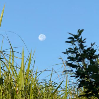 月が沈む、、まだまだだけど
