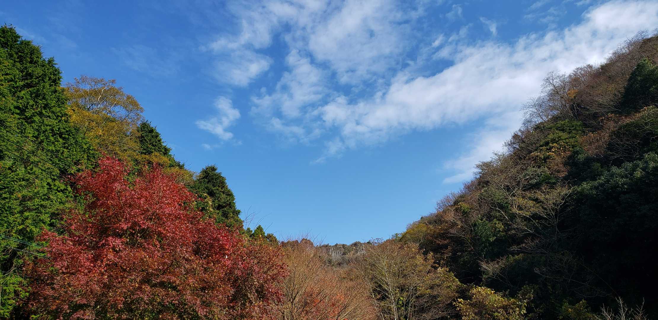 晴れてきた～🎶