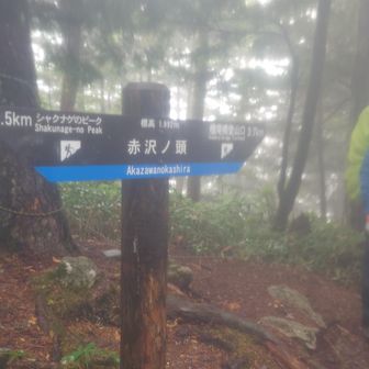 前腿死んでてこの先で2回転けた😇