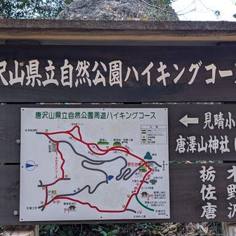 無事に唐沢山域に到着