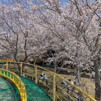 ゆーれるーおもーいのーたけーをだーきしーめた