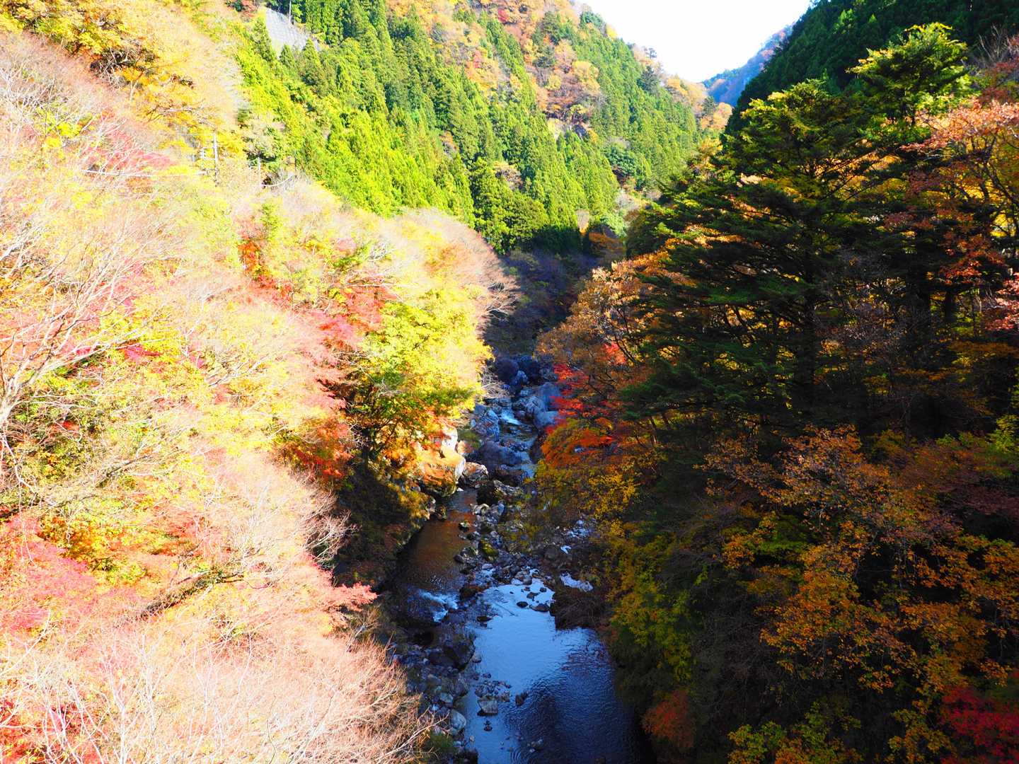 まるでタイムスリップのような、民話を辿る奥多摩むかし道コースの写真