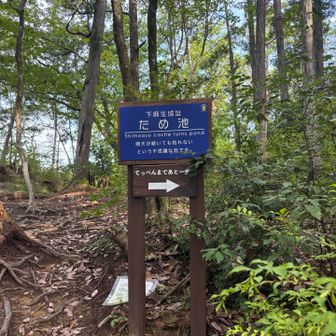 山頂はもうすぐみたい😄➡️
