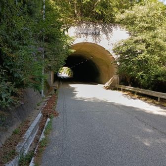 震災で壊れた道の代わりにできた鉢巻山トンネルにゃ。