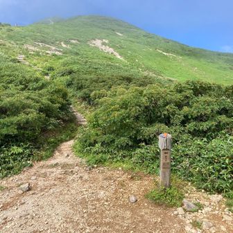 銀玉水到着