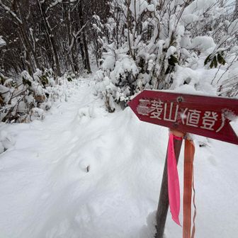 どげな直登かをもう覚えていなく
ここから向かいます