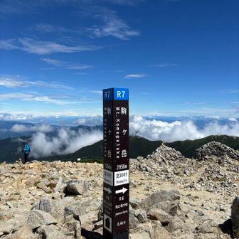 山頂です